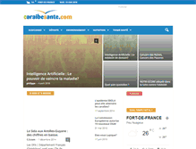 Tablet Screenshot of caraibesante.com